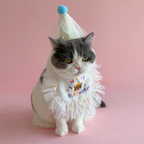 Birthday Pet Bib and Party Hat Set | Dog & Cat Celebration Outfit