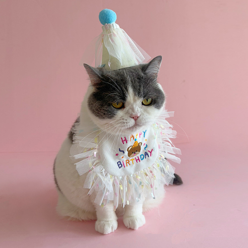 Birthday Pet Bib and Party Hat Set | Dog & Cat Celebration Outfit