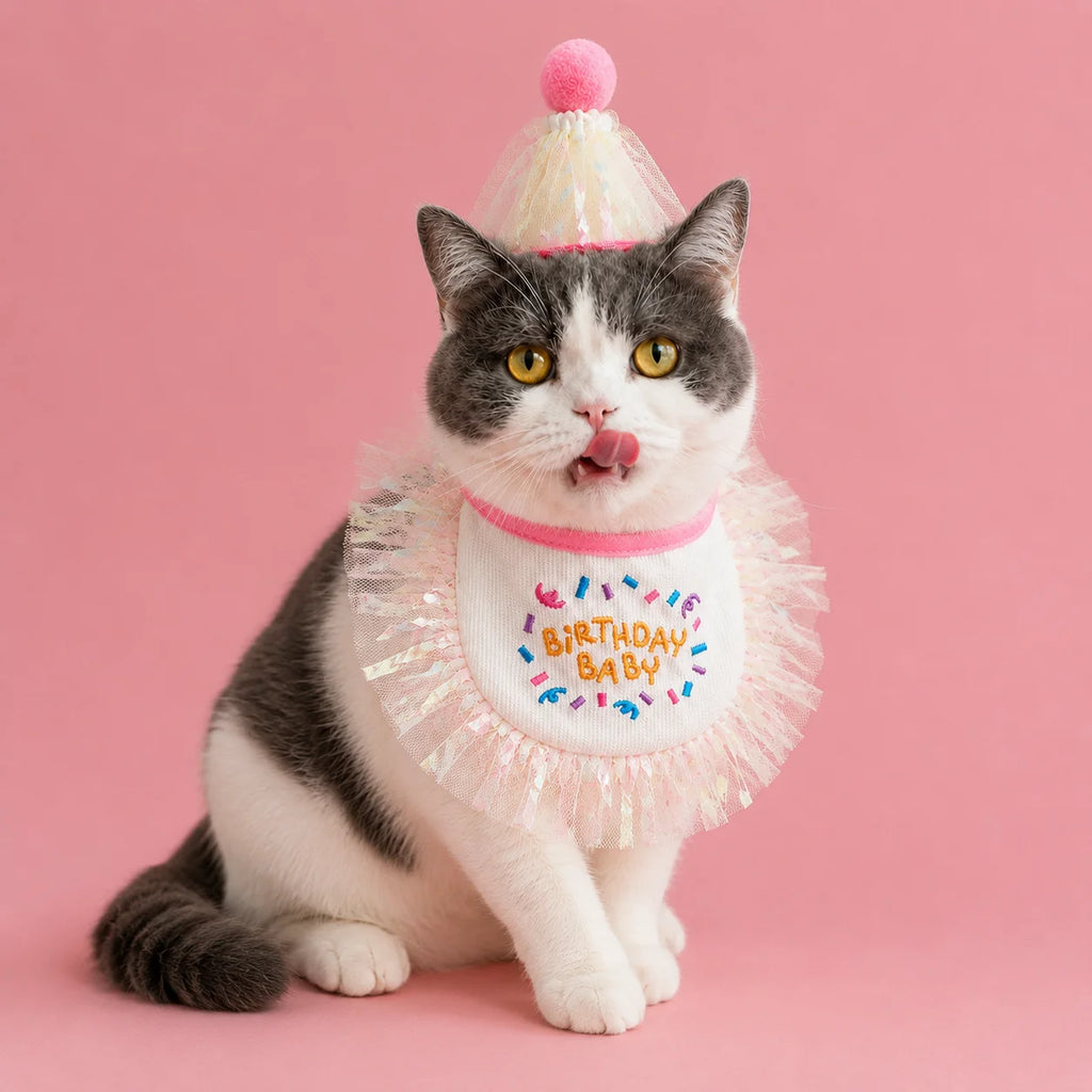 Cat licking lips while wearing pink birthday outfit