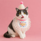 Cat licking lips while wearing pink birthday outfit