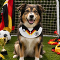 Dog wearing Germany-inspired soccer fan pet outfit standing on a green field