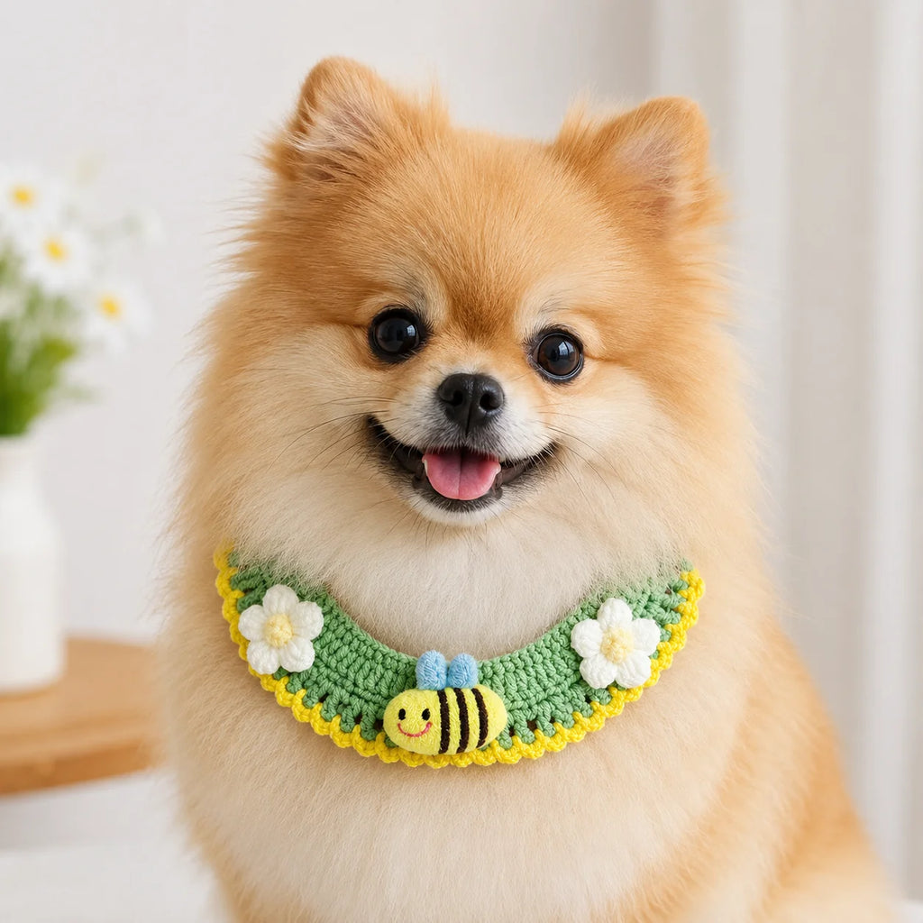 Small dog wearing green honeybee knit pet collar with white flowers