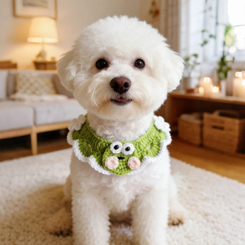 Close-up of artisan green frog knit pet collar