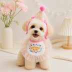 Maltese puppy wearing pink birthday outfit with bow and party hat