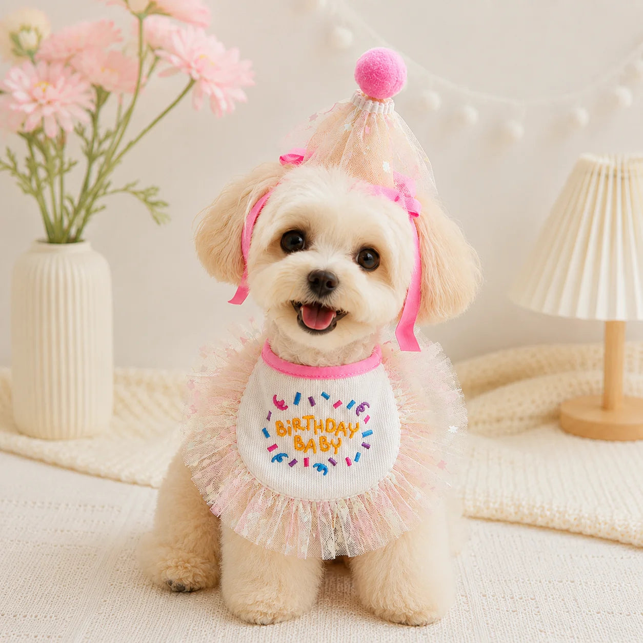 Maltese puppy wearing pink birthday outfit with bow and party hat