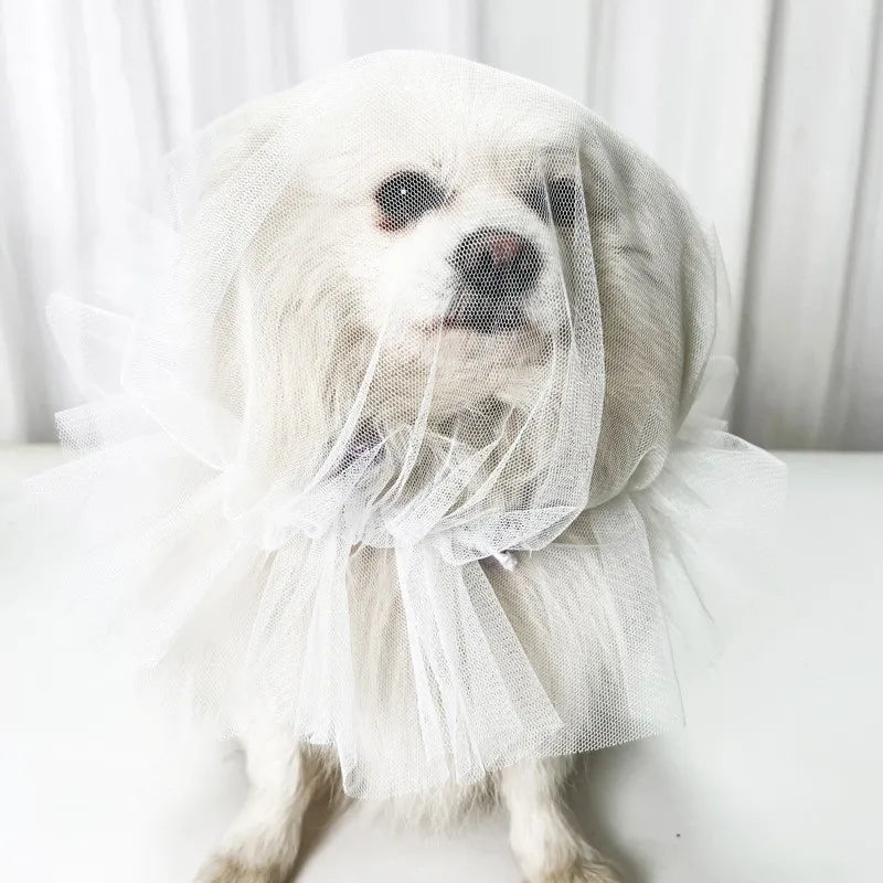 Small Plain White Drawstring Mesh Dog Face Cover