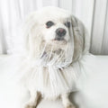 Small Plain White Drawstring Mesh Dog Face Cover
