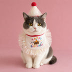 Cat wearing red birthday bib with happy birthday bear embroidery