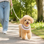 Handmade Purple Tulip Pet Bib | Artisan Knit Flower Collar