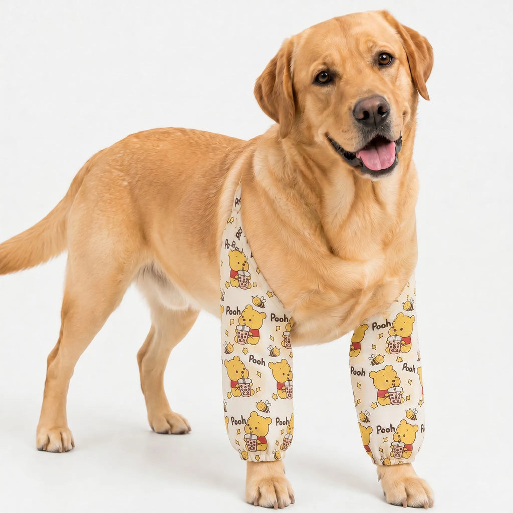 Yellow honey bear print dog elbow protection sleeves on dog