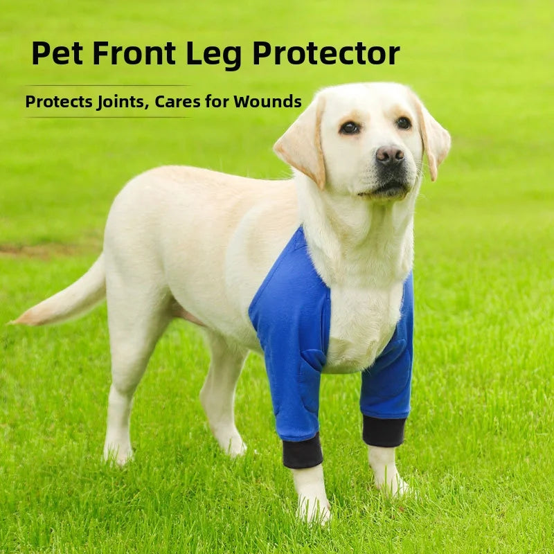 Yellow labrador standing on green lawn wearing blue pet front leg joint protector sleeves