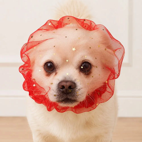 Blue Mesh Dog Face Cover