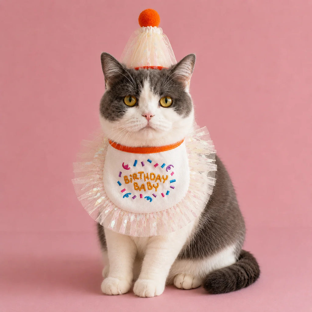 Cat wearing orange birthday baby bib and party hat set