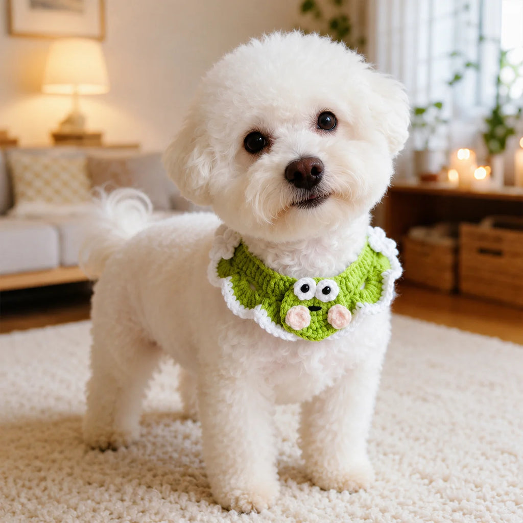 Small white dog wearing green frog flower knit pet collar