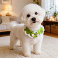 Small white dog wearing green frog flower knit pet collar