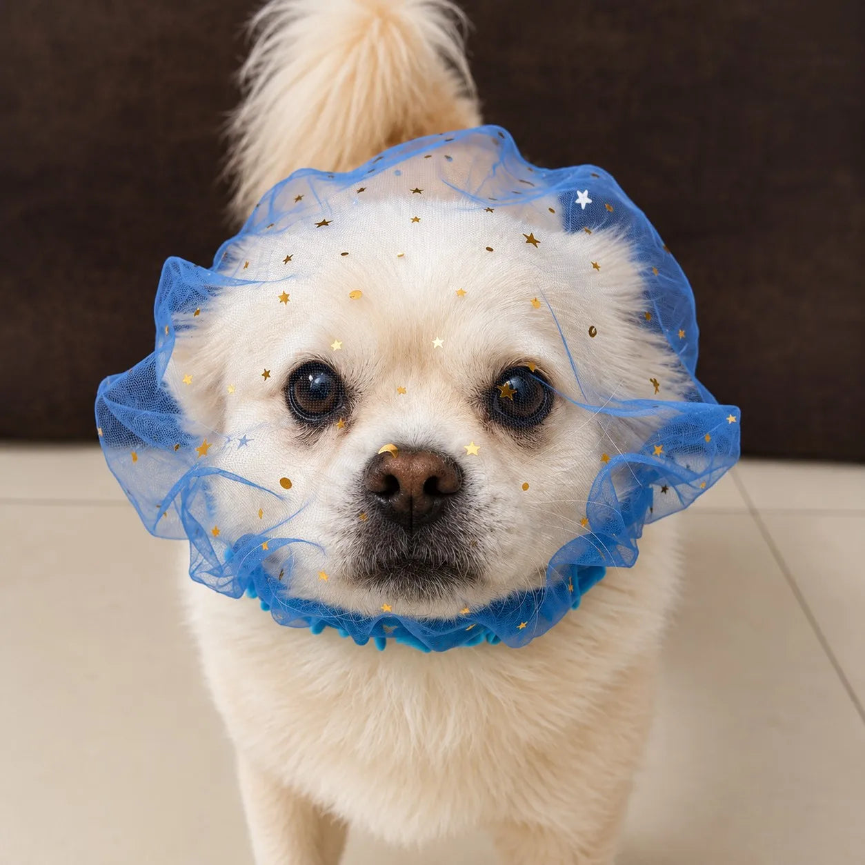 Blue Mesh