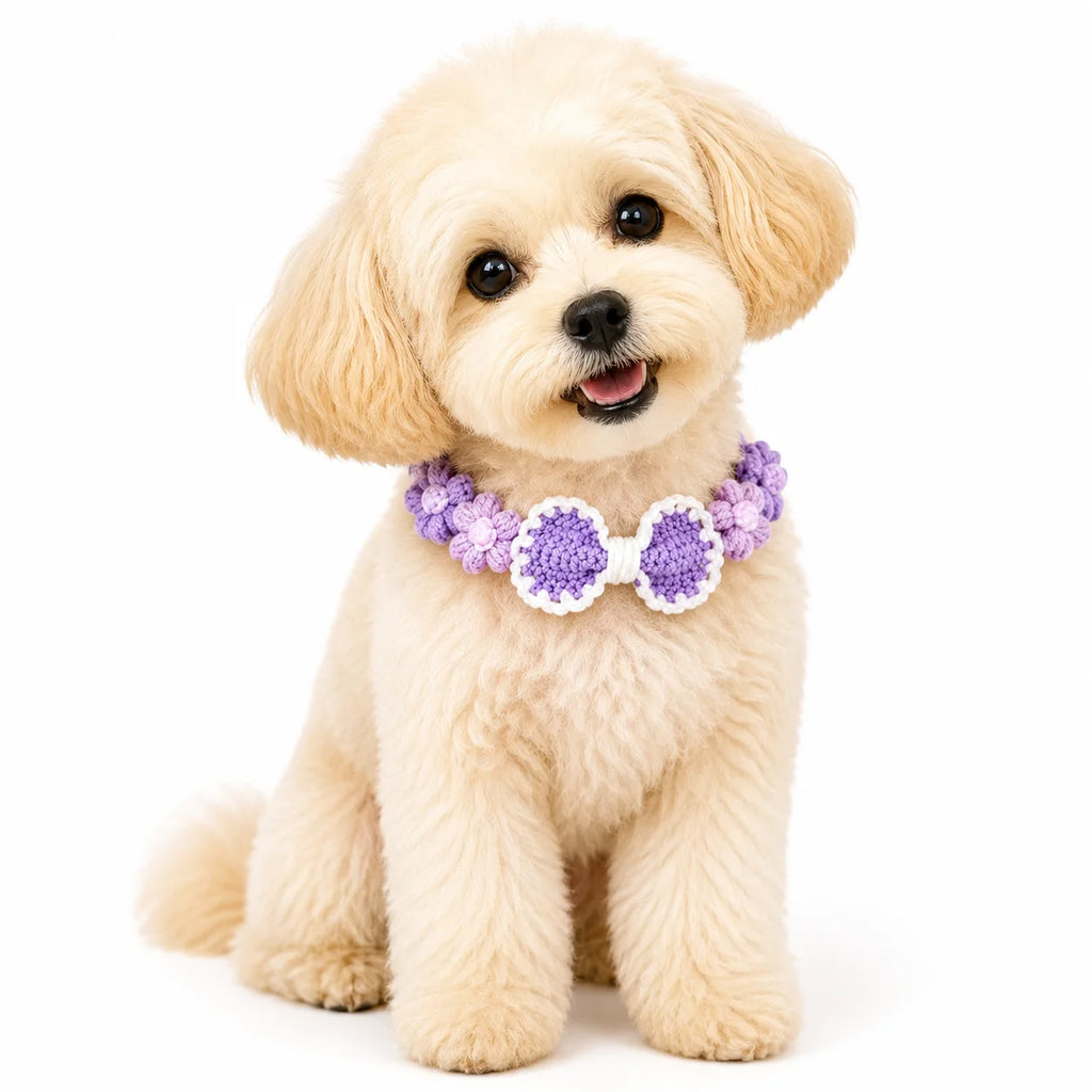 Dog wearing Purple Hand-Crocheted Pet Collar
