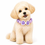 Dog wearing Purple Hand-Crocheted Pet Collar