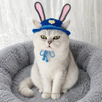 Cute puppy wearing blue bunny ears knit hat for photoshoot