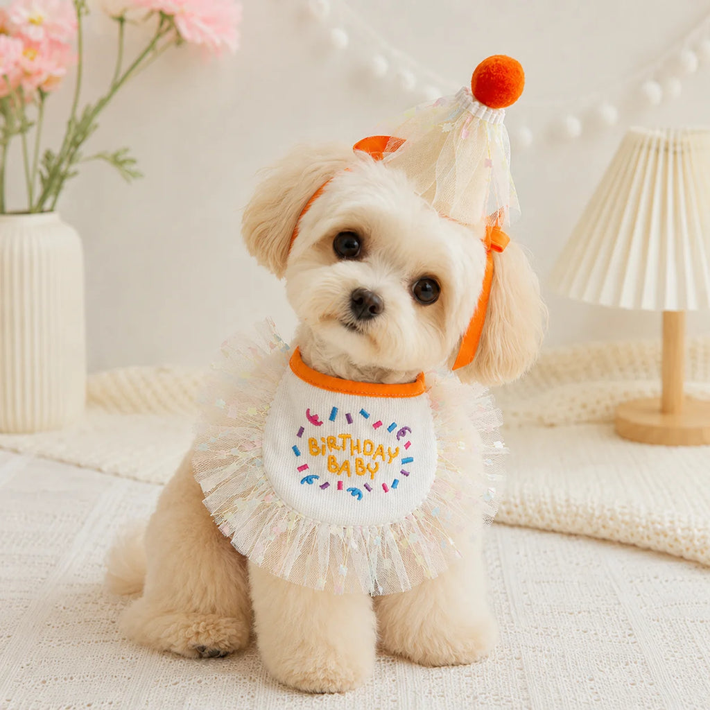 Small puppy wearing orange birthday bib and matching party hat