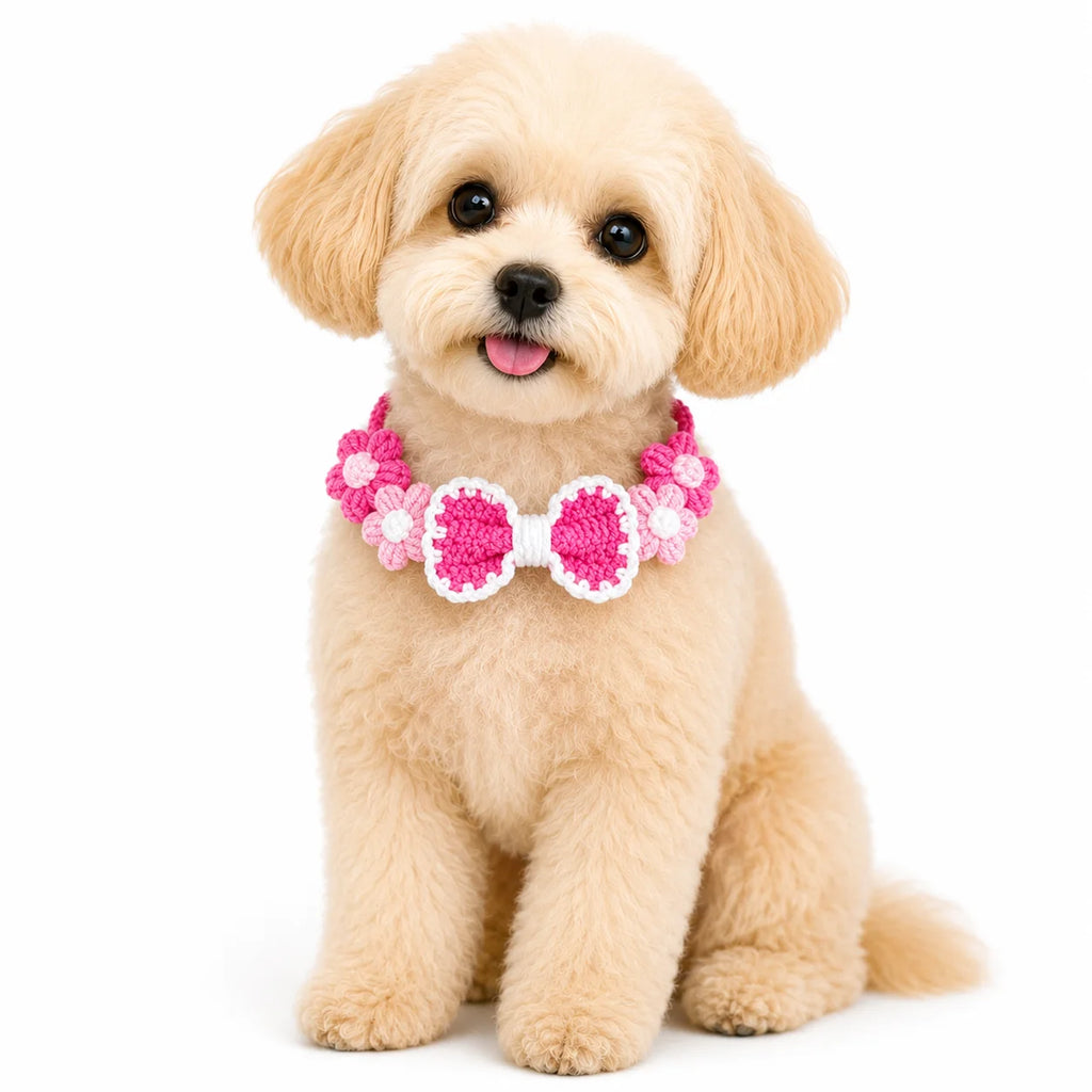 Dog wearing Pink Hand-Crocheted Pet Collar