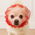 Large Star Drawstring Mesh Dog Face Cover