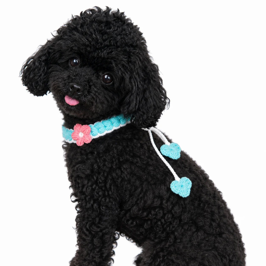 Blue Crochet Flower Pet Collar side view on dog