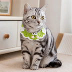 Silver tabby cat sitting with green frog knit pet collar