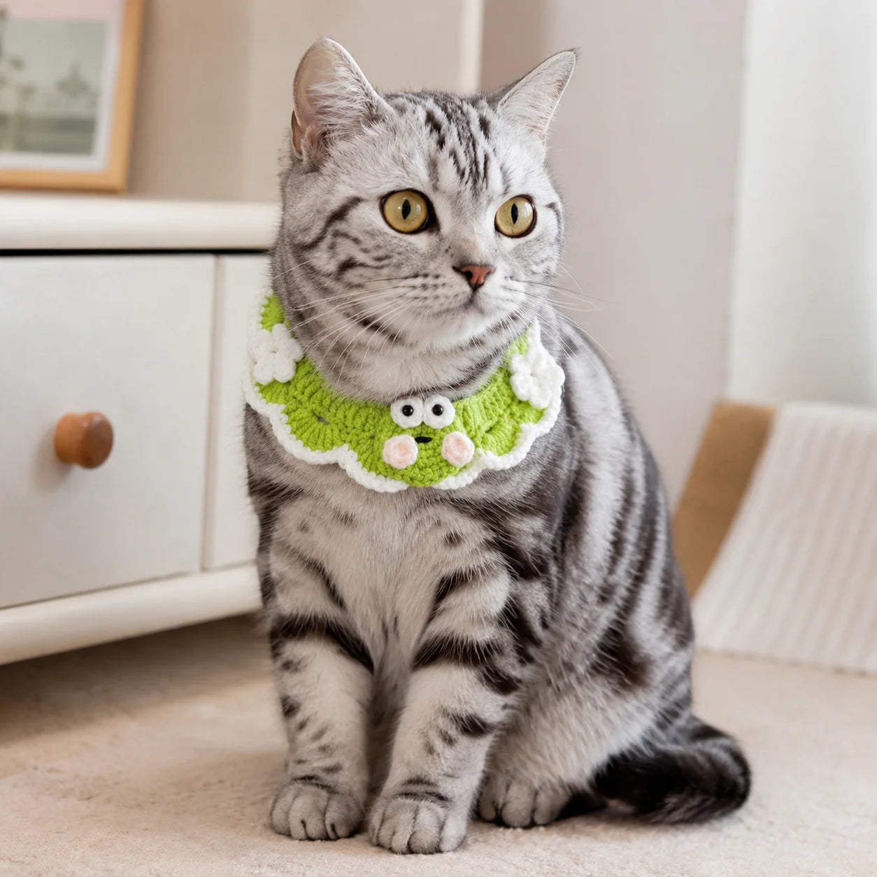 Silver tabby cat sitting with green frog knit pet collar