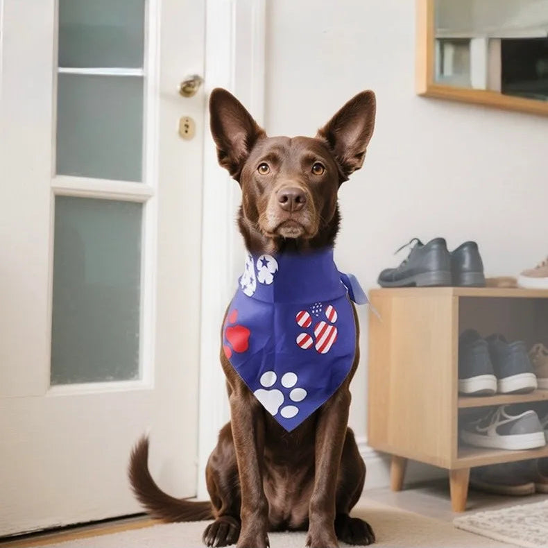 USA-Inspired Patriotic Pet Bandana - Dog Model