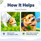 How It Helps - Feature Details