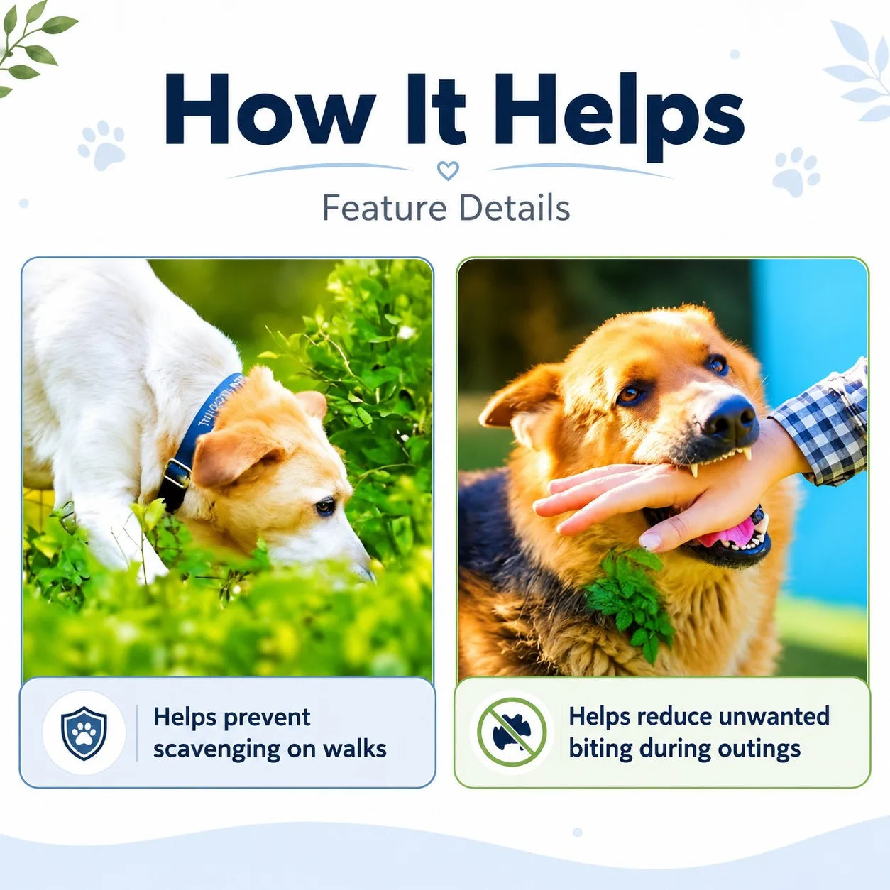 How It Helps - Feature Details