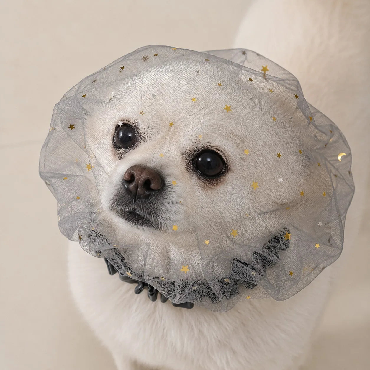 Blue Mesh Dog Face Cover - Side View