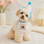 Birthday Pet Bib and Party Hat Set | Dog & Cat Celebration Outfit