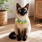 Handmade Honeybee Pet Collar | Artisan Knit Garden Style